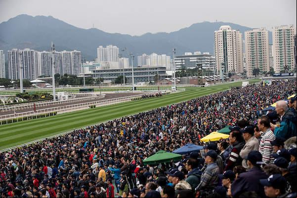 Sha Tin Racecourse - Alex Evers Photo.jpg