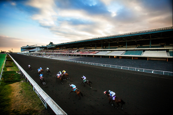 Hollywood Park - Alex Evers Photo.jpg