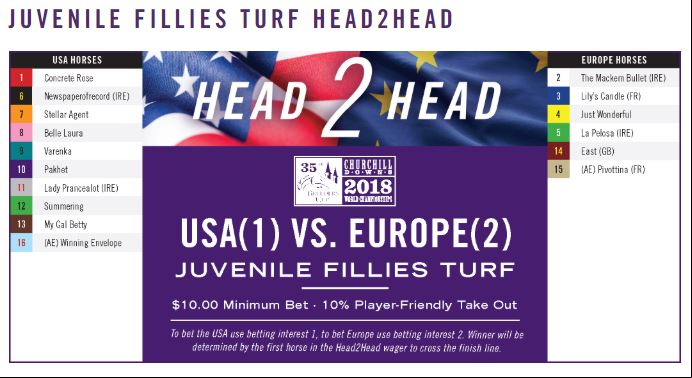 Image from BreedersCup.com